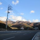 [ 2011.12.03 ] 느긋하게 학동 한바리 이미지