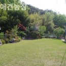 하빈애견농장 이미지