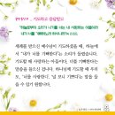 댄21 이미지