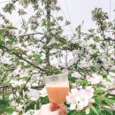 돌다리 농장 이미지