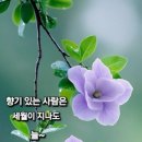 배려심~ 이미지
