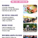 제37회 고양행주문화제 이미지