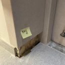 와이디자인스튜디오