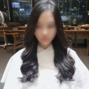 이지미용실 - 서천군 | 이지미용실