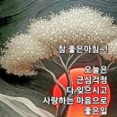 제37회 시장기타기 통영전통연날리기 및 민속놀이 경연대회 | [통영대도요양보호사교육원] 제39회 시장기타기 통영전통연날리기 및 민속놀이 경연대회 안내