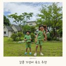 강릉 가성비 숙소 클레이하우스 촌캉스 감성 가족펜션 후기