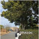 신화에너지 제일주유소 | 제주여행 꼭 가봐야할 오설록 티뮤지엄, 10년 만에 다시 찾은 찐감동 후기!