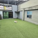 헬로우, 마루네 애견운동장 이미지