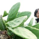 굿데이영농조합 이미지