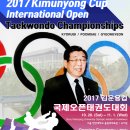 한양대 올림픽 태권도 이미지