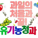 변동청과 이미지