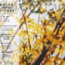 형섭X의웅 카카오 검색결과