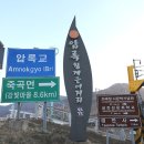 섬진강문화학교 독도사진전시관 | 곡성 압록 참게 은어거리에서 입맛 돋우는 전남 미식여행(전남 2월추천관광지①)