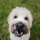 말랑말랑 이미지