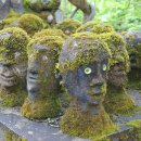 숲속공원 이미지