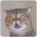 부산악기 이미지