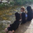 펀치볼민박 이미지