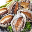 통영 굴 생굴 깐굴 석화 1kg 판매 가격/ 통영굴 생굴 석화 각굴 직거래 이미지