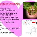 기힐링