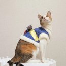 싱글멍글 이미지