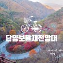 보발재 정상 주차장 | 단양 보발재 전망대 국내 여행지 단양 가을 단풍 명소 방문 후기