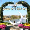 압화&꽃차 | 2025 부여 궁남지 국화축제 일정 · 체험 · 주차 총정리 (양송이 · 표고버섯축제 함께 즐기기)