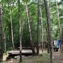 휴양림약수 이미지