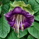 홍순길행정사 사무소 이미지