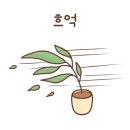 뉴멕시칸 - 북구 호계3길 10 | 뉴멕시칸