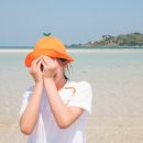 어라운드폴리캠프 이미지