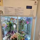 합리적인 가격의 24시간 소사벌 꽃집 &#34;플레르드레브&#34;