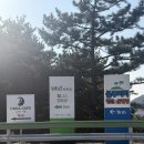 블루비치펜션 | 고성 블루비치 글램핑 팬션 후기｜오션뷰 숙소 낚시추천