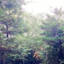 신기부영3차 아파트 이미지