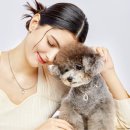 (주)은진바이오 이미지