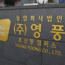농업회사법인(주)영풍 이미지