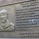 꿈꾸는소나무 이미지