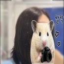 [등촌역][한나헤어]등촌동 미용실 염색 후기 ✨ | 커트 후 결국 염색까지 하고 온 이야기✂️(2)