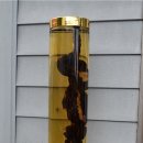 (주)성우식품 이미지