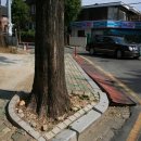 사림로99번길 이미지