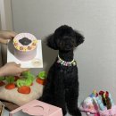 마싯개냠냠 네이버블로그