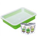 보람그루밍 | 수경재배 캣그라스 비교 후기 삶의 질이 달라졌어요