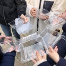 현이호농장 | 인천 딸기농장 체험, 현이농장