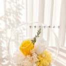 농업기술센터(자원봉사센터) | 치매안심센터 자원봉사원예힐링 감성 유리볼 테라리움 원예테라피 출강 후기