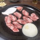 도리산암소한마리