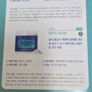 브랜바인 | [내돈내산] 브랜바인 파우더 유산균·햄프시드 CBG오일 솔직 사용기 (비숑 9살 / 시츄 3개월)