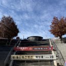 2020 K리그1 서울vs울산 | [2024 K리그] 241110 FC서울 vs 울산 직관 :: 서울 월드컵 경기장