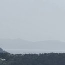 비진도수산 이미지