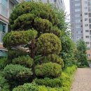 지산아이앤씨주 이미지