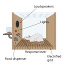 인형의 거리(쥐) 이미지