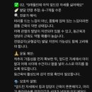더넥스트아동발달연구소